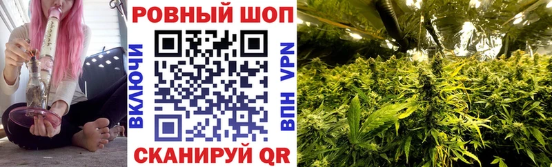 Как найти наркотики Кашира Псилоцибиновые грибы  Меф  omg ONION  Alpha PVP  Бошки Шишки 