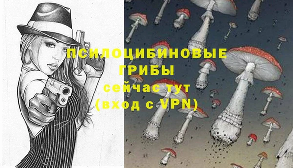 гашиш Осинники