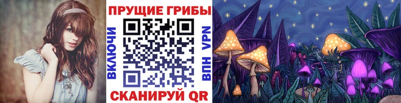 Галлюциногенные грибы мицелий  Кашира 