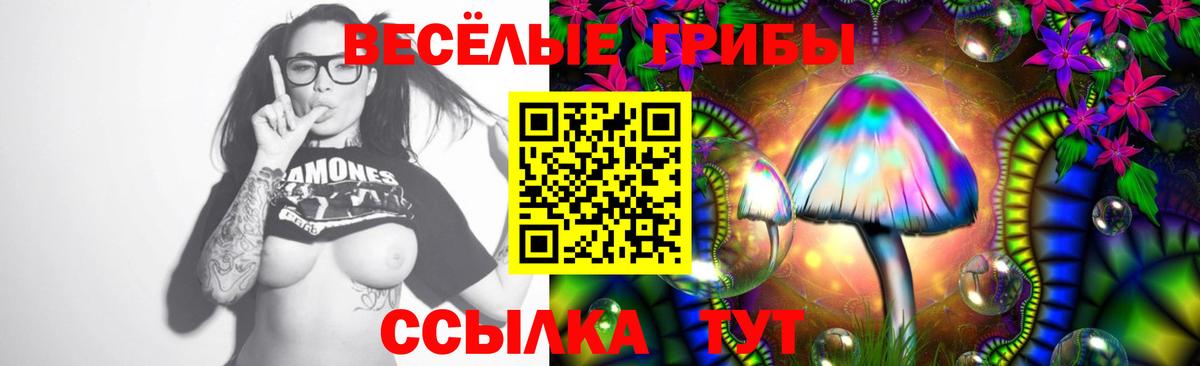 Кашира  Псилоцибиновые грибы прущие грибы  Вход с VPN 